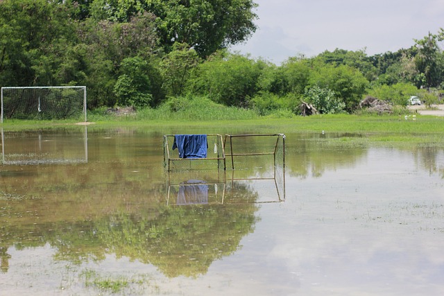 还是将意图 还是将意图
