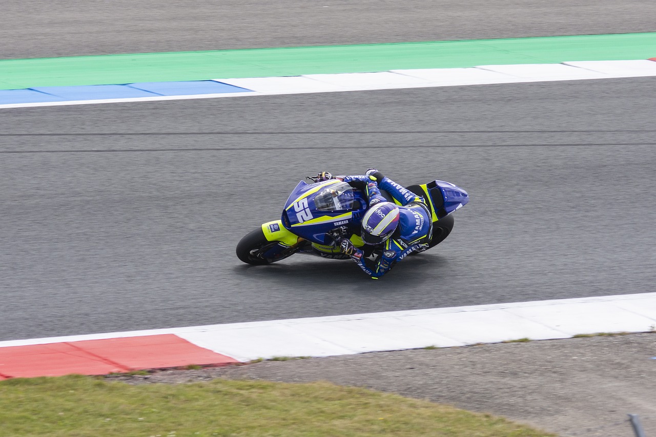 域发挥着重 域发挥着重