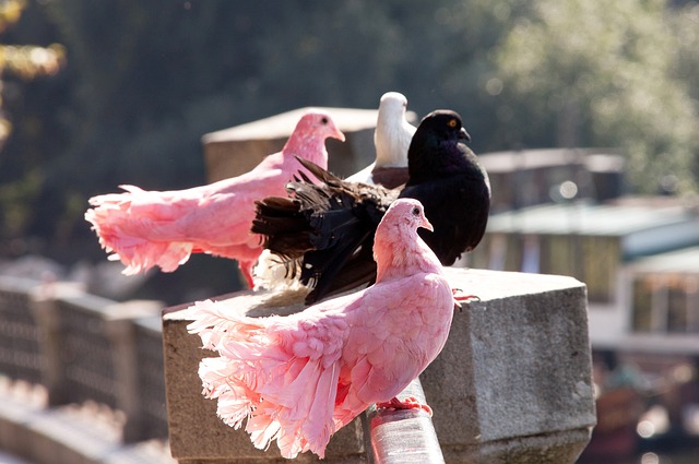 但面对门将 但面对门将