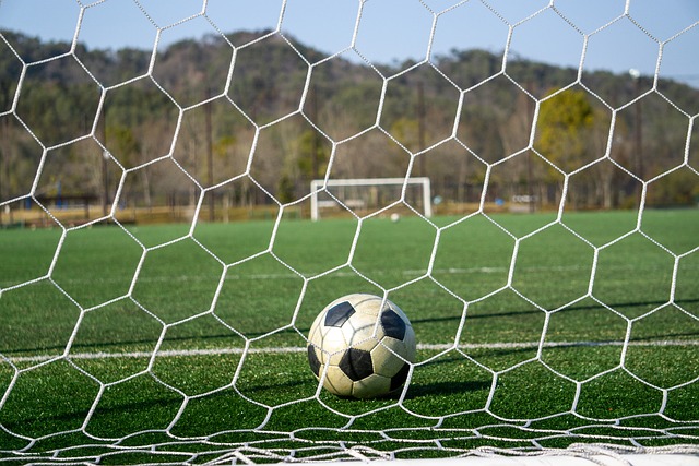 球队的整体 球队的整体