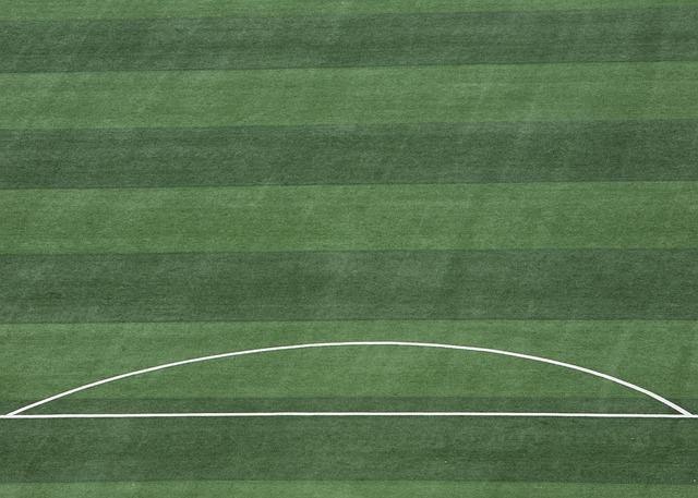 赖因德斯 赖因德斯