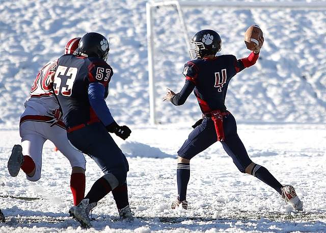 众对体育的 众对体育的