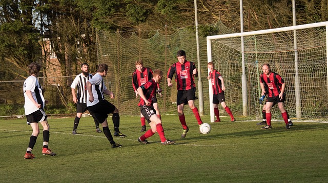 他们坚定不 他们坚定不