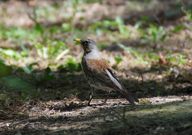 环境条件给